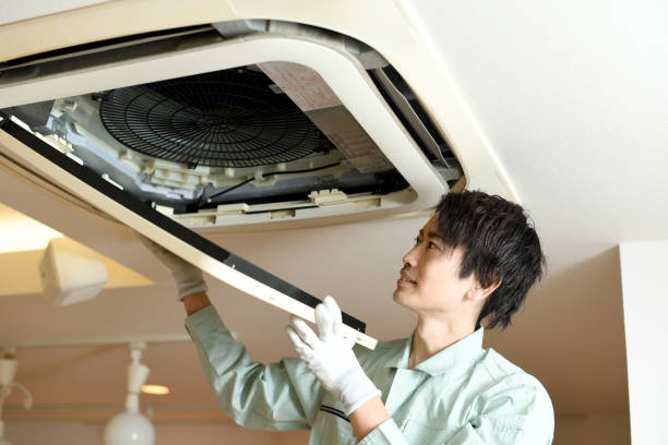 Best Local Air Duct Cleaning Services  in Lutz, FL